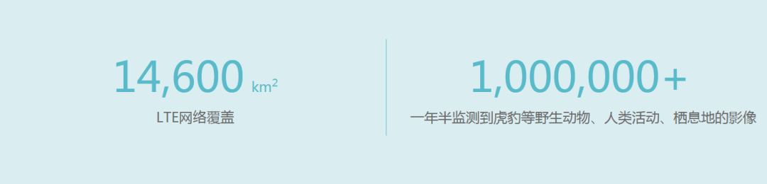 EVO真人视讯 | 智慧的“眼睛”，AI守护珍稀动物